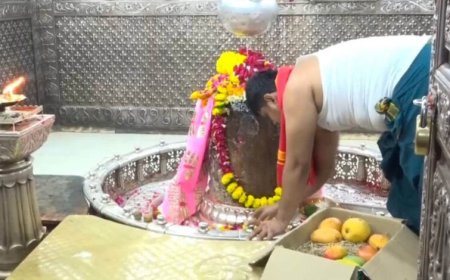 उज्जैन में बाबा महाकाल को चढ़ाया ₹2.5 लाख किलो वाला खास आम, जबलपुर के भक्त 12 साल से निभा रहे अनोखी परंपरा