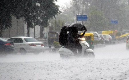 MP में मानसून का डबल अटैक! 3 एक्टिव सिस्टम से अगले 4 दिन झमाझम बारिश, सिवनी में 24 घंटे में 4.9 इंच पानी