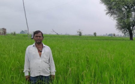 गलत धान बीज से किसानों की लाखों की फसल चौपट, फर्म संचालक पर कार्रवाई की मांग