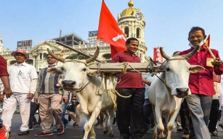 आठ दिन में समाधान नहीं हुआ तो कलेक्ट्रेट पर धरना देंगे किसान, कलेक्टर दिया चेतावनी भरा आवेदन