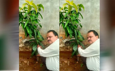 अधिमान्य पत्रकार नेतृत्व समिति के प्रदेश अध्यक्ष प्रीतम वर्मन ने लगाया एक वृक्ष