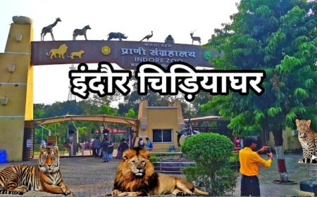 इंदौर चिड़ियाघर में बढ़ेगा आकर्षण, आएगा एक सींग वाले गैंडों का जोड़ा, 700 किमी दूर से पहुंचेगा दरियाई घोड़ा ‘सतीश’