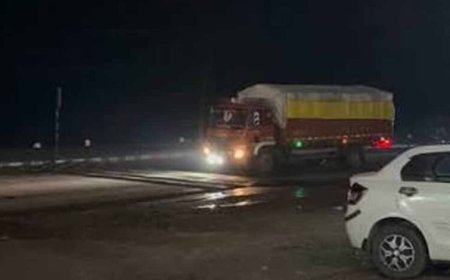 राजगढ़ में दर्दनाक हादसा, ट्रक ने टोल प्लाजा के पास 17 मवेशियों को रौंदा; बैरिकेड्स लगाकर चालक पकड़ा