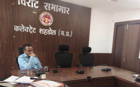 सीईओ जिला पंचायत ने की सीएम हेल्पलाइन एवं समय-सीमा पत्रों की समीक्षा