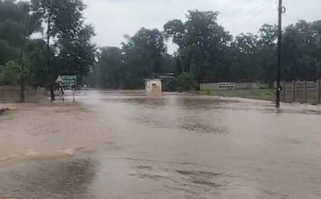 बालाघाट में 24 घंटे में 3 इंच बारिश, नदी-नाले उफान पर; MP के 15 जिलों में भारी से अति भारी बारिश का अलर्ट