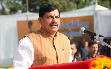 MP से राजस्थान पहुंचे घड़ियाल, CM मोहन यादव बोले- मध्य प्रदेश में बाघों की संख्या 1000 के पार