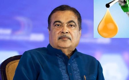 E20 Petrol से गाड़ियों पर कितना पड़ेगा असर? नितिन गडकरी ने बताया- क्या इंजन बदलने की पड़ेगी जरूरत