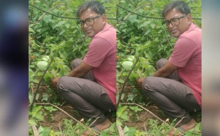 जबलपुर पूर्व प्रदेश अध्यक्ष सुनील कुमार राय ने पीपल के वृक्ष मझौली में लगाए