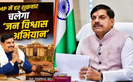 7 अगस्त से गांव-गांव पहुंचेंगे अफसर, मौके पर होगी शिकायतों की सुनवाई; CS ने कलेक्टरों को दिए सख्त निर्देश