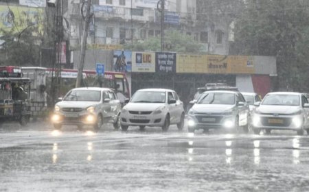 MP Weather Alert: अगले 48 घंटे झमाझम बारिश के आसार, मालवा-निमाड़ के 12 जिलों में भारी बारिश की चेतावनी