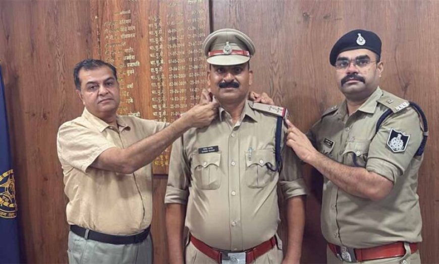रीडर एएसआई दिनेश पांडे बने सब इंस्पेक्टर, एसपी ने कंधों पर लगाए नए सितारे