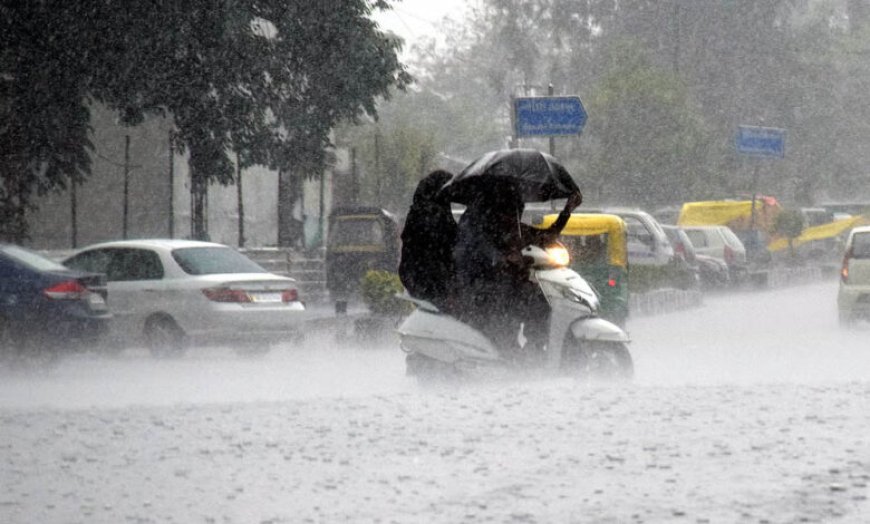 MP में मानसून का डबल अटैक! 3 एक्टिव सिस्टम से अगले 4 दिन झमाझम बारिश, सिवनी में 24 घंटे में 4.9 इंच पानी