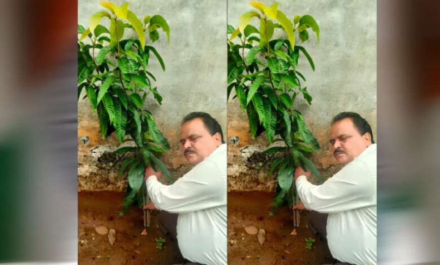 अधिमान्य पत्रकार नेतृत्व समिति के प्रदेश अध्यक्ष प्रीतम वर्मन ने लगाया एक वृक्ष