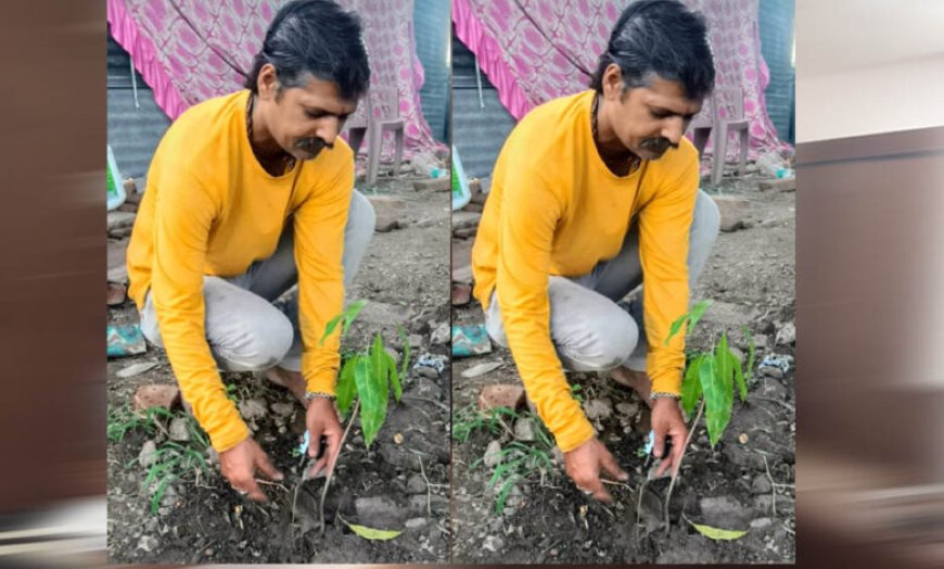इंदौर संभागीय अध्यक्ष ओम प्रकाश ठाकुर ने आम के वृक्ष देवास में लगाए