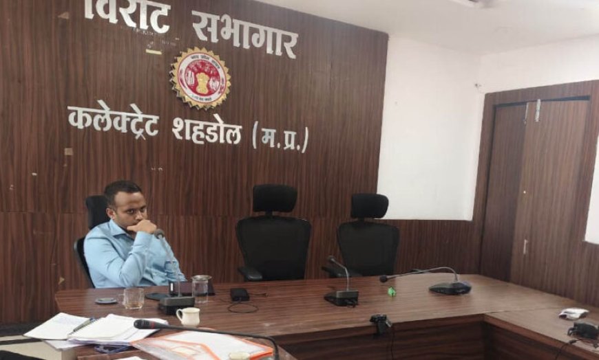 सीईओ जिला पंचायत ने की सीएम हेल्पलाइन एवं समय-सीमा पत्रों की समीक्षा