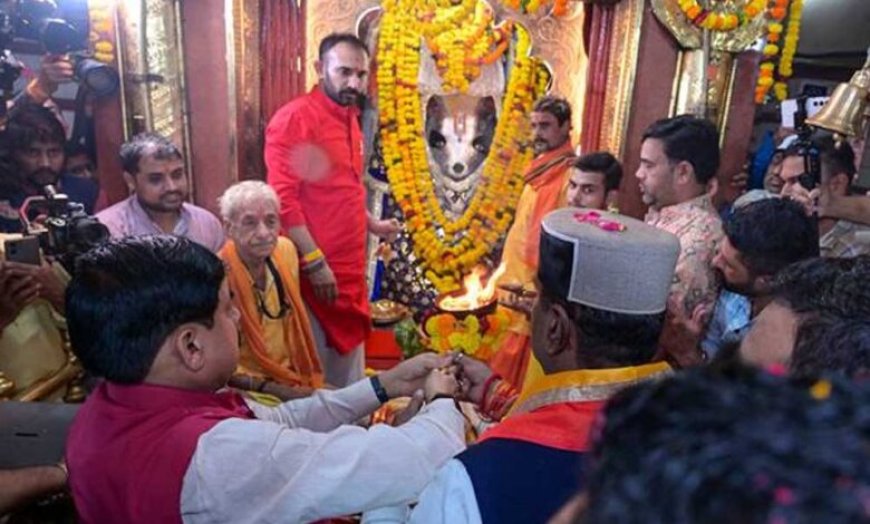 मुख्यमंत्री डॉ. यादव ने खेड़ापति हनुमान मंदिर में की पूजा अर्चना