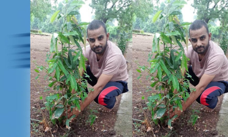 झाबुआ जिला अध्यक्ष रविंद्र भाटी ने आम के वृक्ष झाबुआ में लगाए