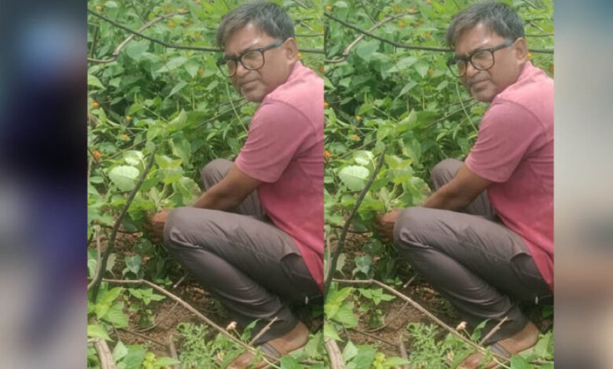 जबलपुर पूर्व प्रदेश अध्यक्ष सुनील कुमार राय ने पीपल के वृक्ष मझौली में लगाए