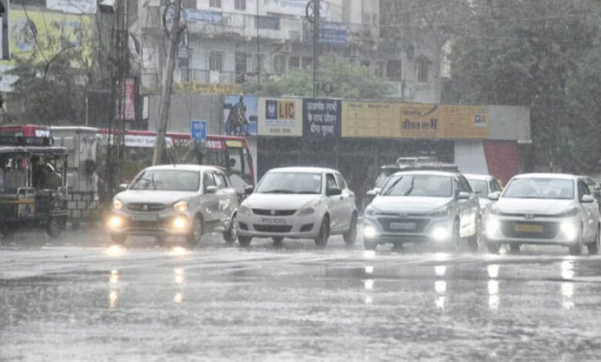 MP Weather Alert: अगले 48 घंटे झमाझम बारिश के आसार, मालवा-निमाड़ के 12 जिलों में भारी बारिश की चेतावनी