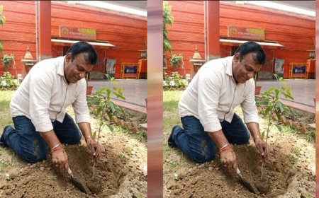 प्रदेश उपाध्यक्ष महेश सिनकर ने आम के वृक्ष मंदिर परिसर में लगाए