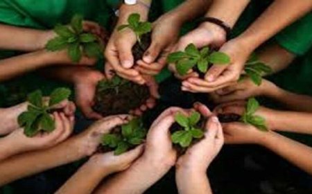 जबलपुर में आज 11 लाख पौधों का महाअभियान, ‘एक पेड़ मां के नाम’ से हरित मध्यप्रदेश को मिलेगी नई पहचान