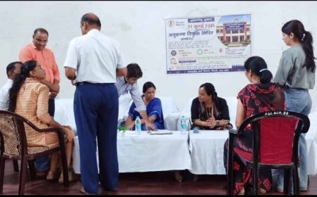 कलेक्टर नेहा मीना की पहल से लगा वृहद अनुकंपा नियुक्ति शिविर