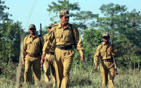 वन कर्मचारी पर हमला करने वालों के ऊपर रासुका लगाई जाए तत्काल गिरफ्तार किया जाए।