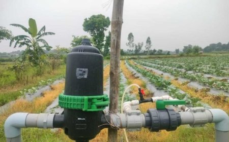 सूक्ष्म सिंचाई योजना से खेती बनी अधिक लाभकारी, ड्रिप सिंचाई अपनाकर किसान ने बढ़ाया सब्जी उत्पादन