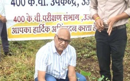 विश्व प्रकृति संरक्षण दिवस पर एमपी ट्रांसको के सब-स्टेशन में हुआ सामूहिक पौध-रोपण
