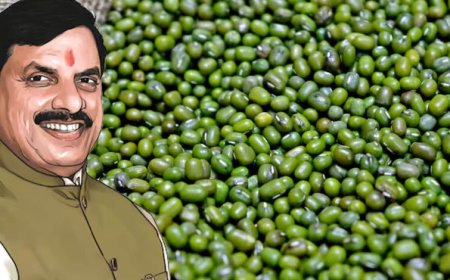 MP MSP Mung Procurement: मध्य प्रदेश में मूंग खरीदी का नया प्लान लागू, किसानों को मिलेगा बड़ा फायदा