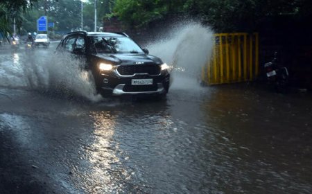 MP Weather: अगले 3 दिन तेज बारिश का अलर्ट, 49 जिलों में बारिश की कमी; सूखे जैसे हालात से राहत की उम्मीद
