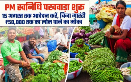 प्रदेश में 1 से 15 अगस्त तक आयोजित हो रहा विशेष स्वनिधि पखवाड़ा