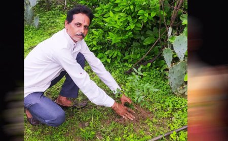 अनूपपुर जिला अध्यक्ष प्रकाश सोनी ने लगाए  नीम का पौधे