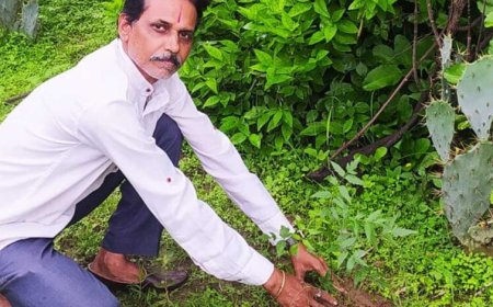 शहडोल संभागीय अध्यक्ष प्रकाश सोनी ने लगाए नीम के पौधे