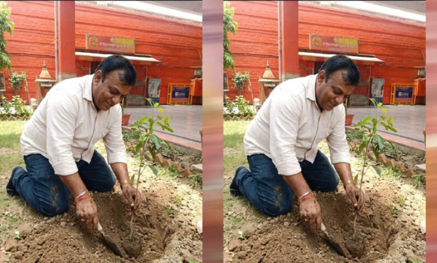 प्रदेश उपाध्यक्ष महेश सिनकर ने आम के वृक्ष मंदिर परिसर में लगाए