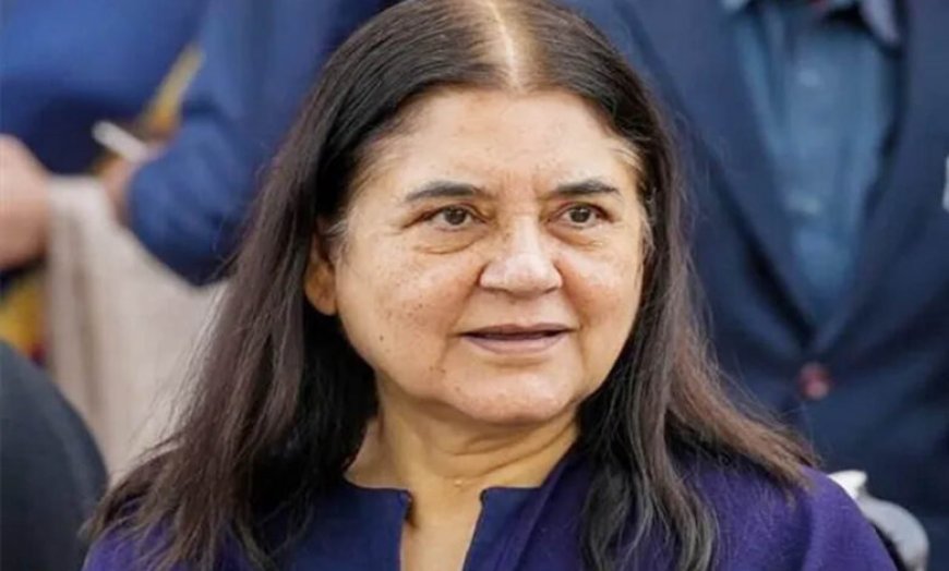 मेनका गांधी के हाथ से निकली 522 एकड़ जमीन, 51 साल पुराने विवाद में आया बड़ा फैसला