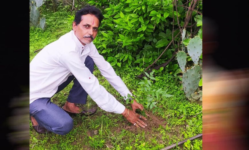 अनूपपुर जिला अध्यक्ष प्रकाश सोनी ने लगाए  नीम का पौधे