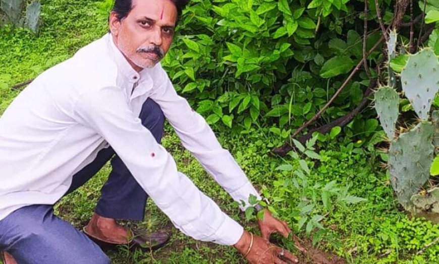 शहडोल संभागीय अध्यक्ष प्रकाश सोनी ने लगाए नीम के पौधे
