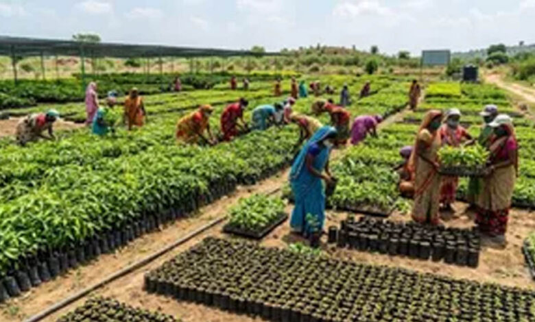 योगी-सरकार-13-प्रमुख-नदियों-के-तट-क्षेत्र-पर-रोपेगी-3.83-करोड़-से-अधिक-पौधे