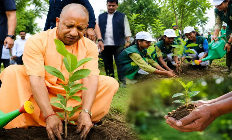 गोरखपुर-से-पौधरोपण-महायज्ञ-का-शुभारंभ-करेंगे-मुख्यमंत्री-योगी